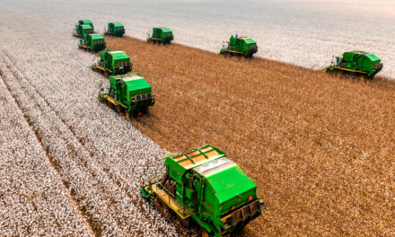 SLC Agrícola registra Receita Líquida recorde de R$ 8,6 bilhões em 2025 e expande área plantada com operações de M&A