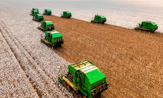 SLC Agrícola registra Receita Líquida recorde de R$ 8,6 bilhões em 2025 e expande área plantada com operações de M&A