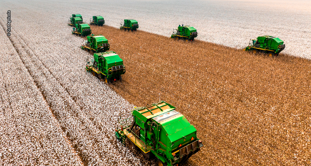 SLC Agrícola registra Receita Líquida recorde de R$ 8,6 bilhões em 2025 e expande área plantada com operações de M&A