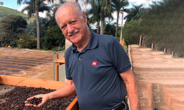 Colheita e pós-colheita definem qualidade e valor do café brasileiro, aponta especialista