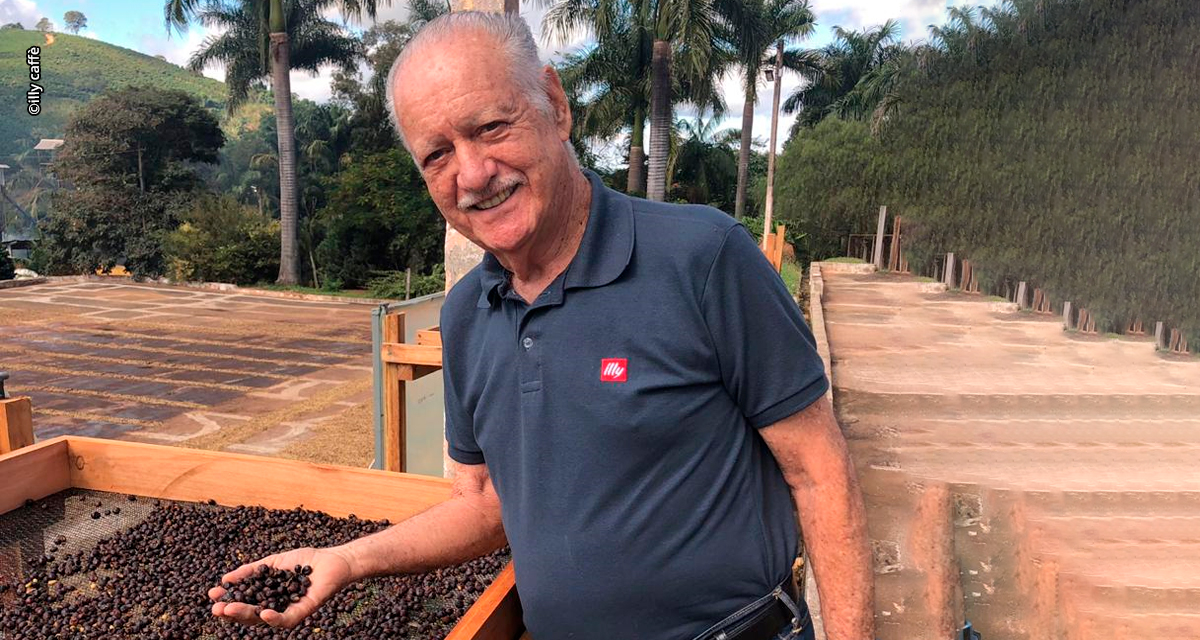 Colheita e pós-colheita definem qualidade e valor do café brasileiro, aponta especialista