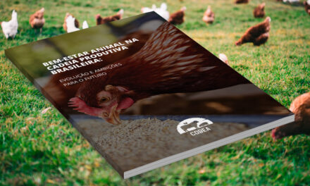 Relatório destaca avanços em bem-estar animal no Brasil e consolida agenda de evolução contínua para aves, suínos e bovinos