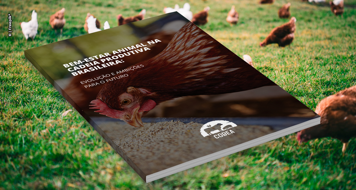 Relatório destaca avanços em bem-estar animal no Brasil e consolida agenda de evolução contínua para aves, suínos e bovinos