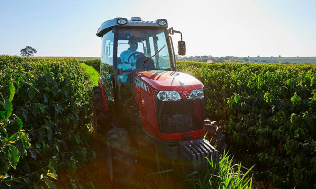 Dia Nacional do Café: mecanização impulsiona produtividade e fortalece liderança brasileira no setor