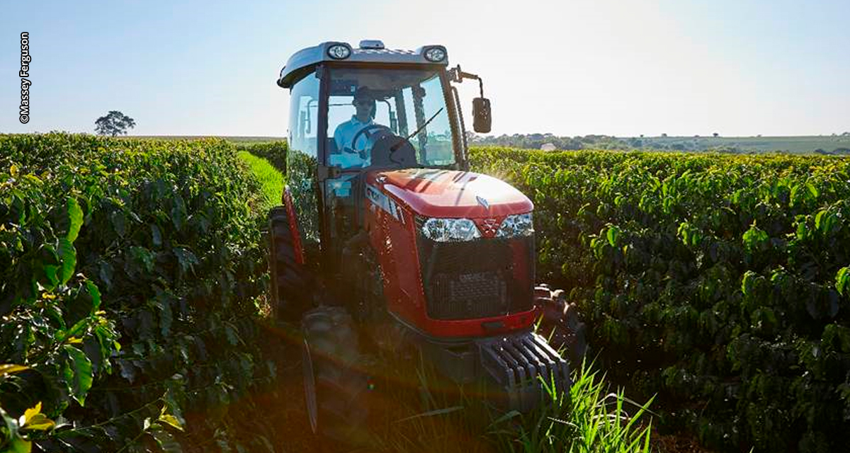 Dia Nacional do Café: mecanização impulsiona produtividade e fortalece liderança brasileira no setor