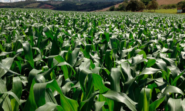 Como o agro está se preparando para um clima mais imprevisível