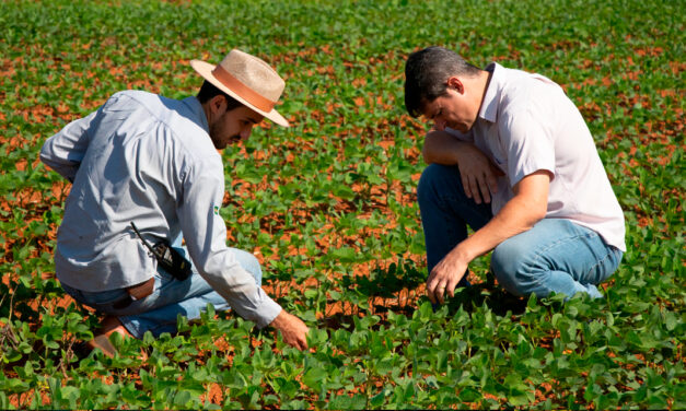 Tecnologias digitais e biológicas elevam produtividade de soja em mais de 20% em fazenda do Maranhão