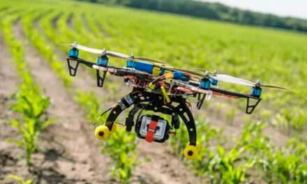 Estudo da ABStartups em parceria com a USP revela avanço das agtechs no Brasil