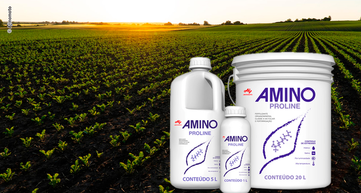 Aminoácidos avançam no agronegócio com foco em eficiência hídrica