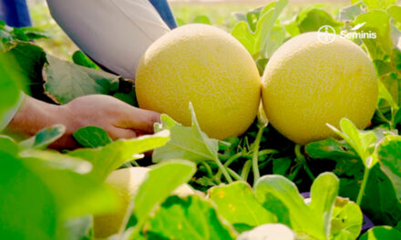 Bayer apresenta soluções para o manejo de doenças e novidades no portifólio na 31ª Hortitec