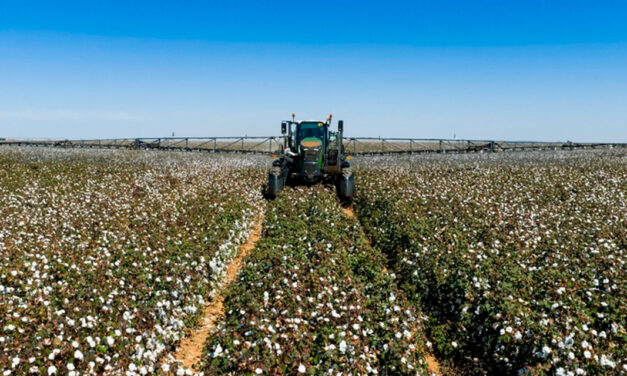 Do agro para as vitrines: Como a tecnologia no campo contribui para a qualidade das roupas de algodão que chegam às lojas