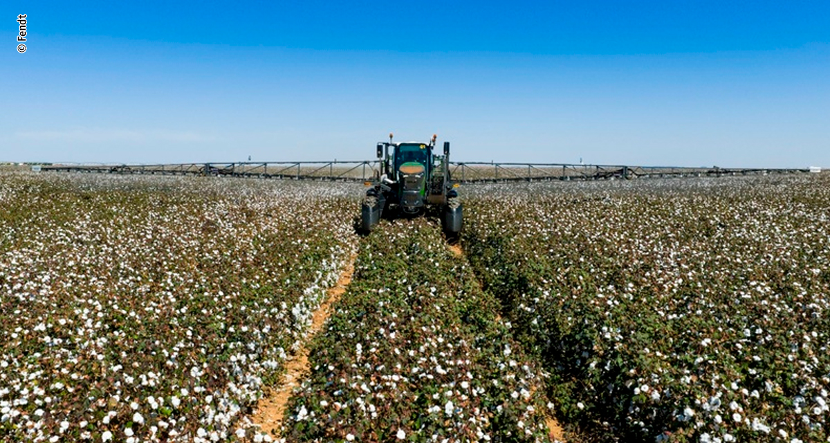 Do agro para as vitrines: Como a tecnologia no campo contribui para a qualidade das roupas de algodão que chegam às lojas