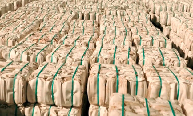 Semana do Meio Ambiente: Sistema Campo Limpo bate recorde de destinação e reduz em 5% o custo por quilo destinado.