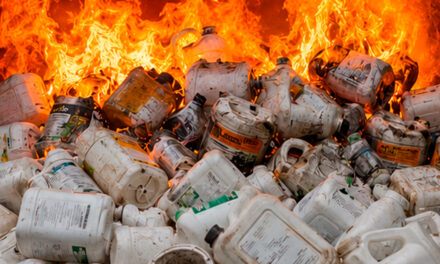inpEV amplia uso do coprocessamento para reduzir incineração de embalagens e avançar em soluções sustentáveis