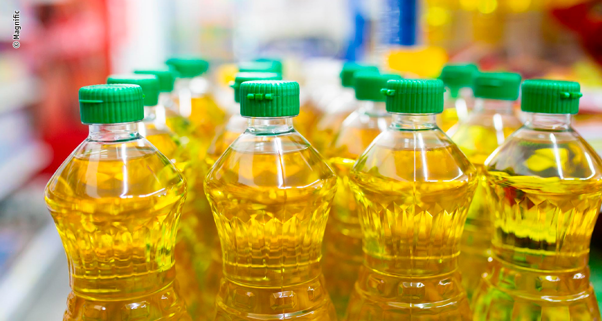 Demanda por óleo de soja e avanço do esmagamento sustentam mercado global mesmo diante de oferta recorde