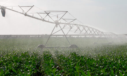 Bauer do Brasil e Irricontrol apostam em novas modalidades de financiamento para ampliar investimentos em irrigação na pecuária