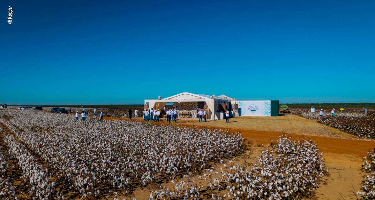 Bayer reúne cadeia da cotonicultura em Sorriso para apresentar o futuro da biotecnologia Bollgard no Brasil