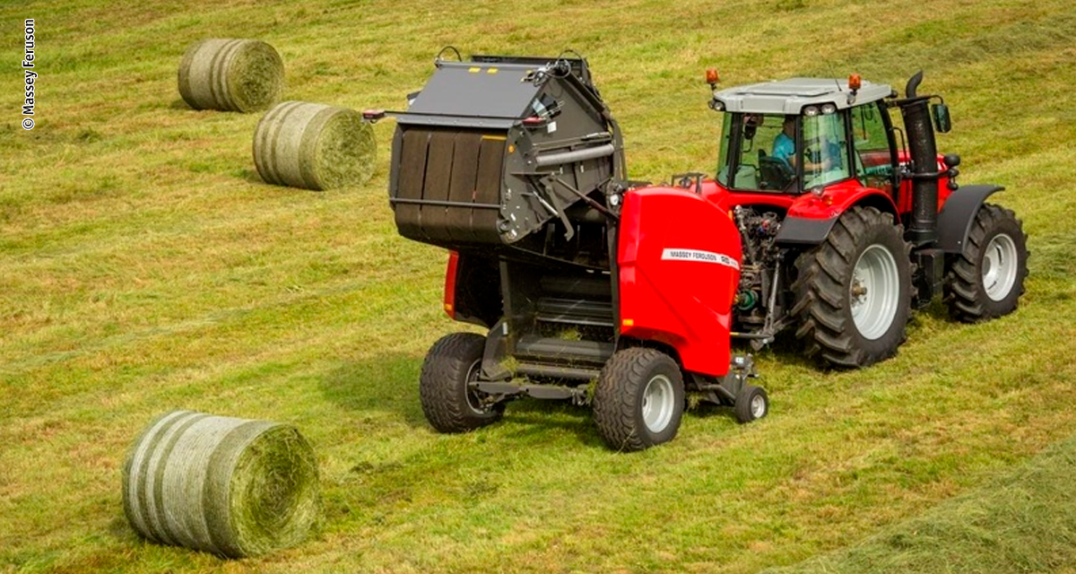 Produção de feno cresce como investimento estratégico para a pecuária