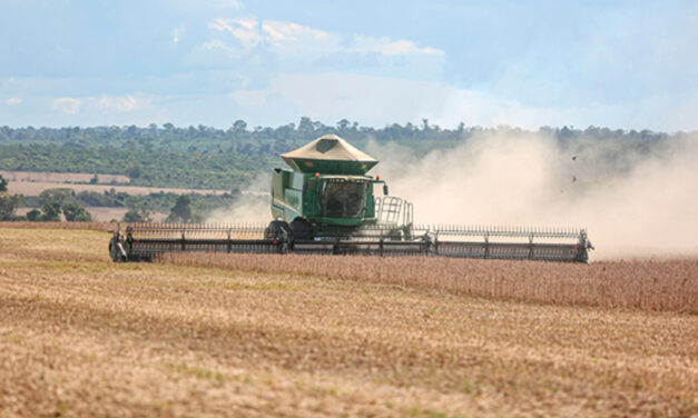 El Niño reforça necessidade de manejo estratégico e regionalizado para a safra 2026/2027