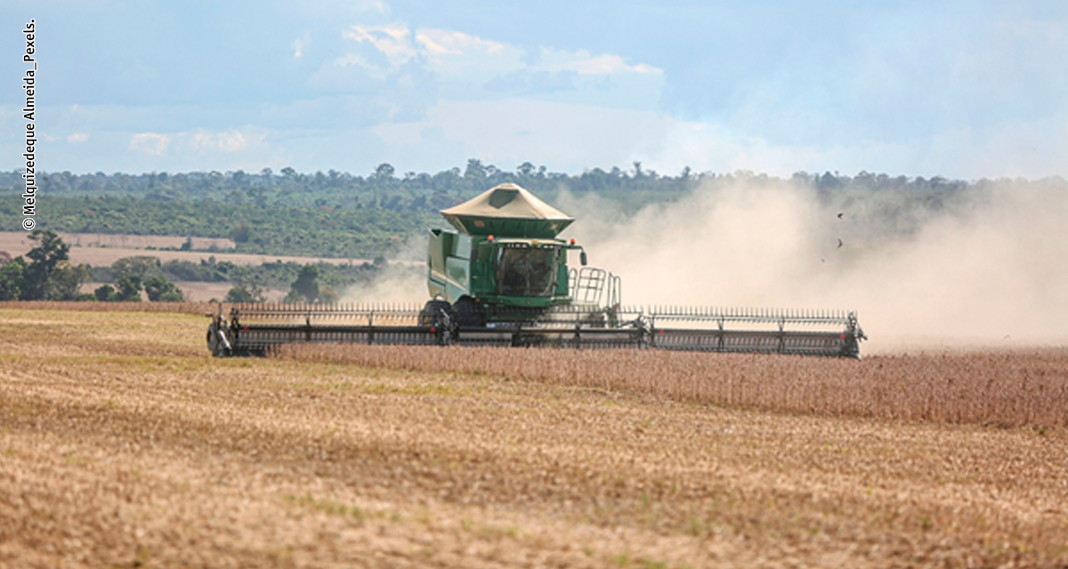 El Niño reforça necessidade de manejo estratégico e regionalizado para a safra 2026/2027