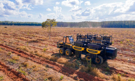 Grupo Timber amplia portfólio de soluções para todo o ciclo da operação florestal