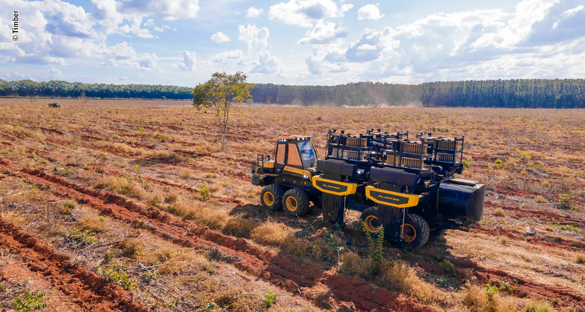 Grupo Timber amplia portfólio de soluções para todo o ciclo da operação florestal